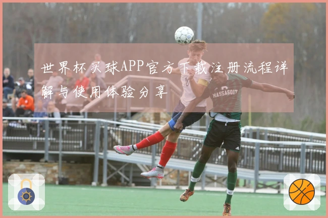 世界杯买球APP官方下载注册流程详解与使用体验分享
