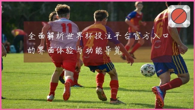 全面解析世界杯投注平台官方入口的界面体验与功能导览