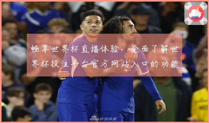 畅享世界杯直播体验，全面了解世界杯投注平台官方网站入口的功能与优势