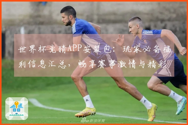 世界杯竞猜APP安装包：玩家必备福利信息汇总，畅享赛事激情与精彩功能