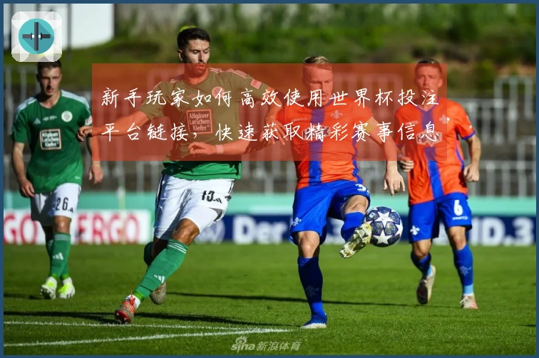 新手玩家如何高效使用世界杯投注平台链接，快速获取精彩赛事信息