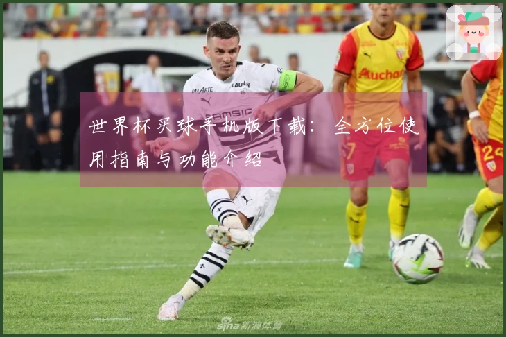 世界杯买球手机版下载：全方位使用指南与功能介绍