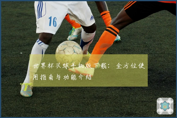 世界杯买球手机版下载：全方位使用指南与功能介绍