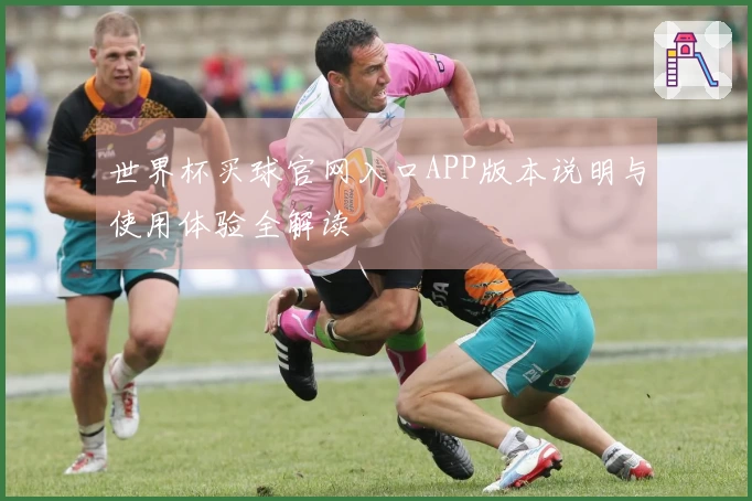 世界杯买球官网入口APP版本说明与使用体验全解读