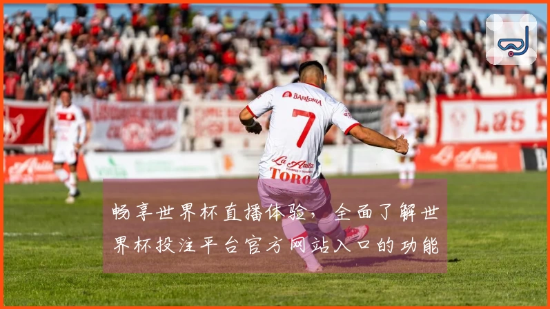 畅享世界杯直播体验，全面了解世界杯投注平台官方网站入口的功能与优势
