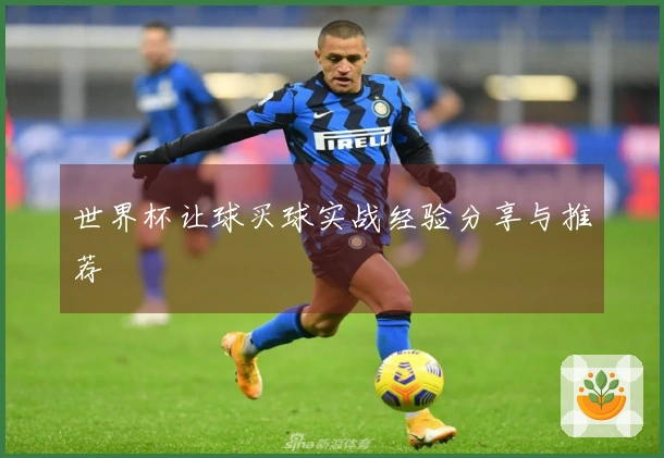 世界杯让球买球实战经验分享与推荐