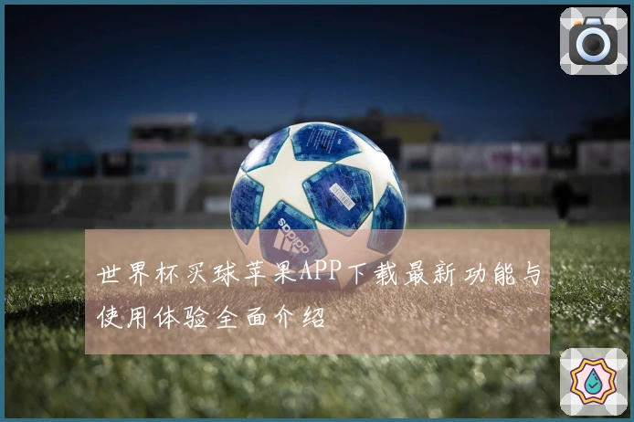 世界杯买球苹果APP下载最新功能与使用体验全面介绍