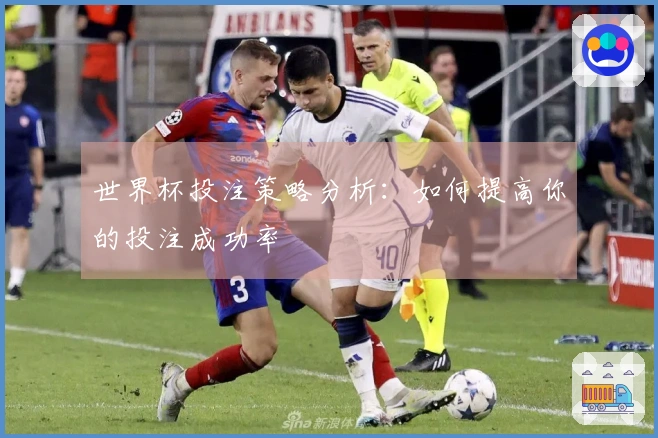 世界杯投注策略分析：如何提高你的投注成功率