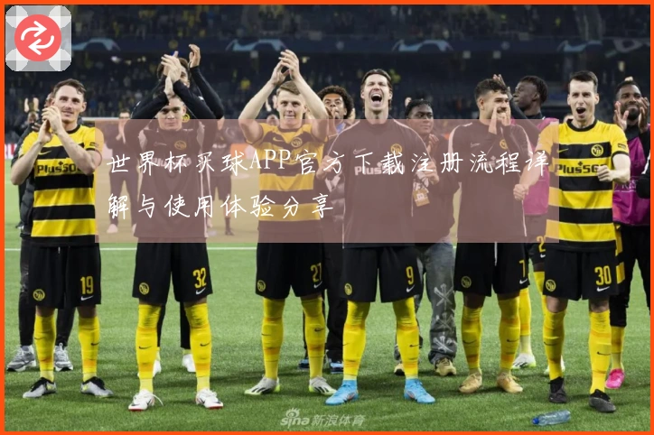 世界杯买球APP官方下载注册流程详解与使用体验分享