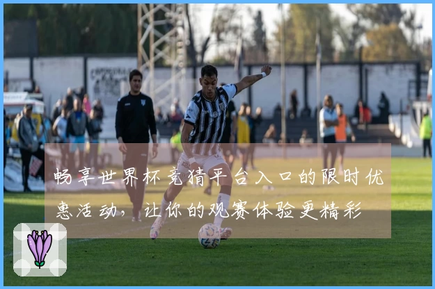 畅享世界杯竞猜平台入口的限时优惠活动，让你的观赛体验更精彩