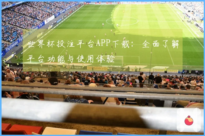世界杯投注平台APP下载：全面了解平台功能与使用体验