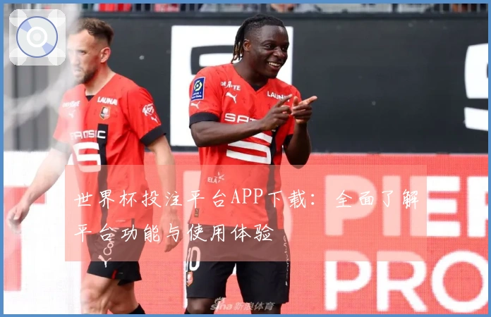 世界杯投注平台APP下载：全面了解平台功能与使用体验