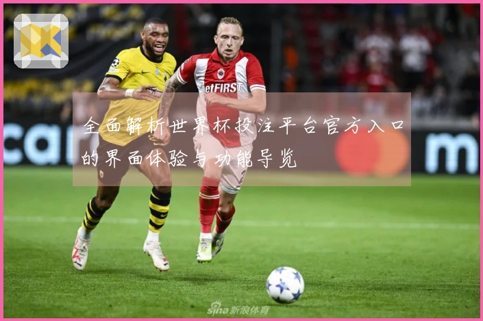 全面解析世界杯投注平台官方入口的界面体验与功能导览