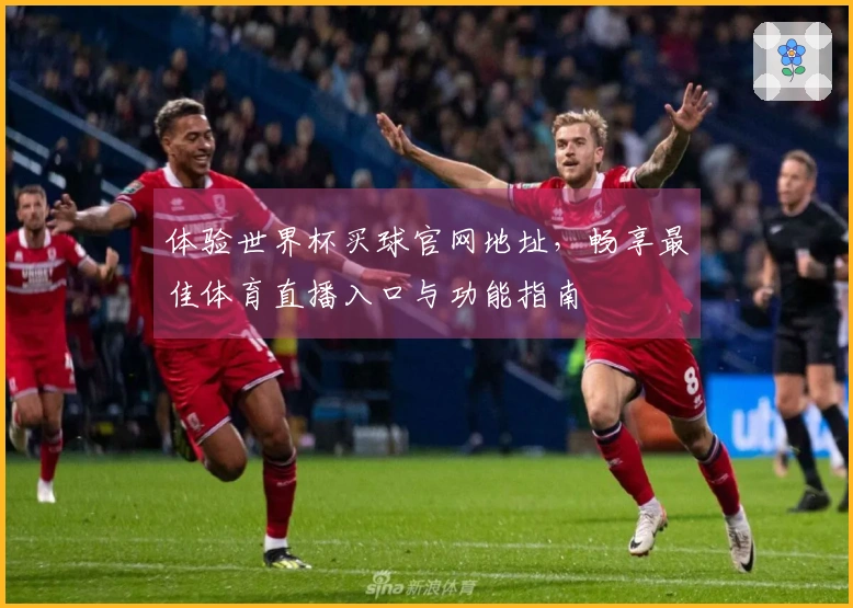 体验世界杯买球官网地址，畅享最佳体育直播入口与功能指南